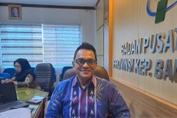 Jasa keuangan picu ekonomi Babel naik 4,37 persen