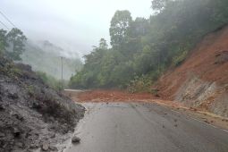 Akses jalan provinsi di Agam putus total karena longsor