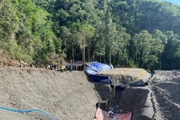 70 orang tewas akibat tambang emas ambruk