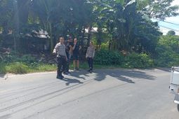 Seorang PNS pengemudi minibus asal Pujut Lombok Tengah tabrak pejalan kaki