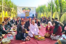 PTPN XI dorong pariwisata di Lumajang berdayakan tradisi "Petik Tebu Manten"