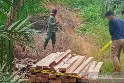 KPH Mukomuko libatkan polisi amankan hutan