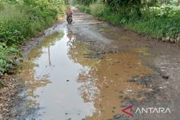 Plt Bupati ungkap bahwa 20 persen jalanan di Bogor dalam kondisi rusak