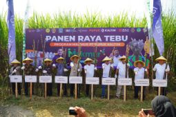 Pupuk Kaltim berhasil jalankan Program Agrosolution panen raya tebu di Sleman