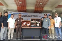 BBKSDA Riau kembalikan burung endemik Maluku ke habitat asli