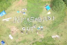 Tambang batu bara kini masuk habitat Gajah