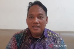Pemerintah pusat bangun bandara di Penajam  tunjang transportasi IKN