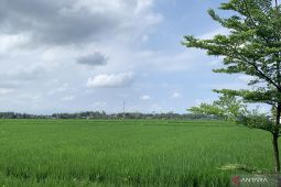 Pemkab Malang optimalkan irigasi antisipasi El Nino