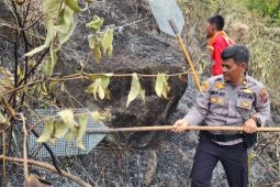 10 hektare lahan di Dusun Dolok Maria Simalungun terbakar