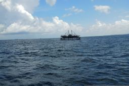 DLH Balikpapan ambil sampel air laut  tercemar minyak