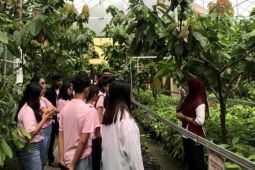 Relawan Srikandi Ganjar lakukan pelatihan olahan cokelat