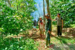 BKSDA Bengkulu lakukan pengusiran agar harimau kembali masuk hutan