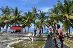 Bupati ajak warga Bone Bolango budidaya udang vaname