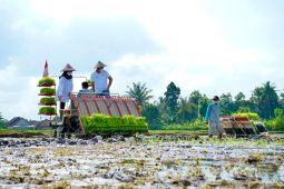 Banyuwangi ajak anak muda geluti bisnis pertanian melalui Jagoan Tani