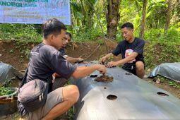Ganjar Milenial Center Bersama Sejumlah Organisasi Ajak Warga Cara Budi Daya Cabai di Lahan Kosong