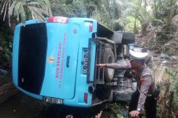 17 siswa SD jadi korban bus masuk jurang di Samosir