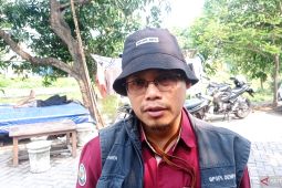 BPSPL: Ada beberapa faktor penyebab Paus Balin masuk perairan Surabaya
