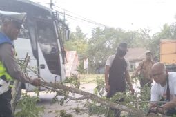 Aksi tanggap Satlantas Polres Batubara bersihkan pohon tumbang tutupi jalan