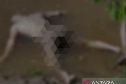 Mayat tanpa identitas ditemukan mengapung di Pidie