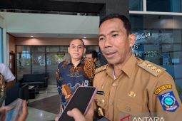 Pj Gubernur Babel temui Wamenkes atasi stunting