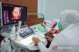 Dokter kandungan imbau kontrol konsumsi hati pada awal kehamilan