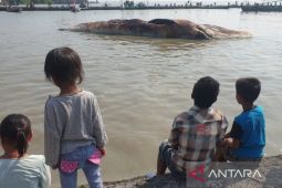 Gubernur Khofifah dukung evakuasi paus balin untuk wisata edukasi