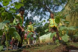 Aktivitas berkebun atau mengepel lantai bisa menggantikan olahraga sedang