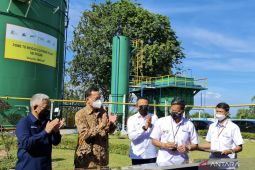 Subholding kelapa sawit PTPN bakal percepat dekarbonisasi