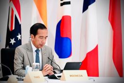 Joko Widodo bawa pesan "global south" di KTT G7