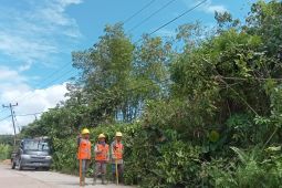PLN ajak masyarakat peduli jaringan listrik