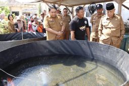 Pemkab Malang komitmen kembangkan produksi pangan lokal
