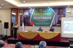 Dinas Kehutanan Papua Barat susun rencana pelestarian hutan