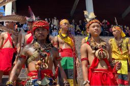 Wisata seni dan budaya jadi daya tarik utama Kalbar
