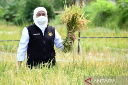 Gubernur Khofifah ajak masyarakat sukseskan sensus pertanian 2023