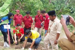 CCEP  tanam ratusan pohon di bantaran Sungai Deli