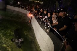 "night zoo" bagian pengembangan wisata baru di Surabaya