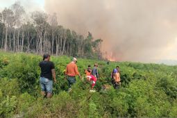 Kebakaran lahan sawit di Pesisir Selatan Sumbar meluas