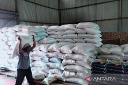 Stok beras Bulog Rejang Lebong tersedia sebanyak 391 ton