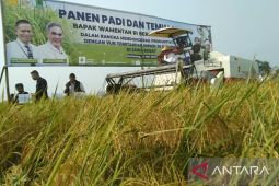 Wamentan lakukan panen raya dan serahkan bantuan benih padi varietas unggul di Karawang