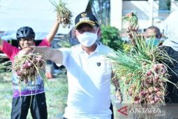 Babel tambah pasokan 27 ton bawang