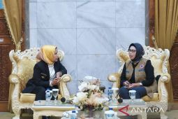 Tingkatkan Mitigasi Bencana, Pemkab Serang Gandeng BNPB