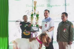 Buka kontes kambing, wali kota harapkan populasi kambing di Banjarbaru meningkat