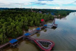 Digitalisasi konservasi mangrove di Sebatik Kalimantan Utara