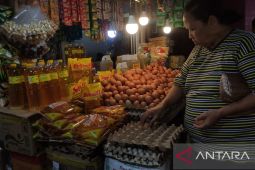 Dinas Perdagangan : kenaikan pakan picu naiknya harga telur ayam