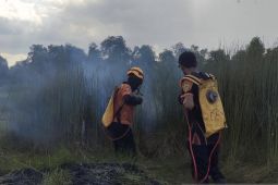 BPBD Kalsel kian siaga usai karhutla landa 14 wilayah