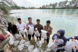 Ribuan ikan nemo dan kakap putih dilepas di Pantai Amera