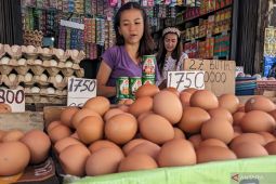 Disperindag Sumut: Harga telur naik karena produksi dan permintaan timpang