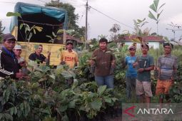 TPL salurkan bantuan bibit aren di Siborongborong Taput
