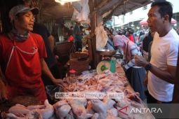 Pj Gubernur Babel tinjau pasar pastikan harga sembako