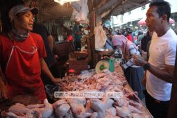 Harga kebutuhan pokok masyarakat relatif stabil